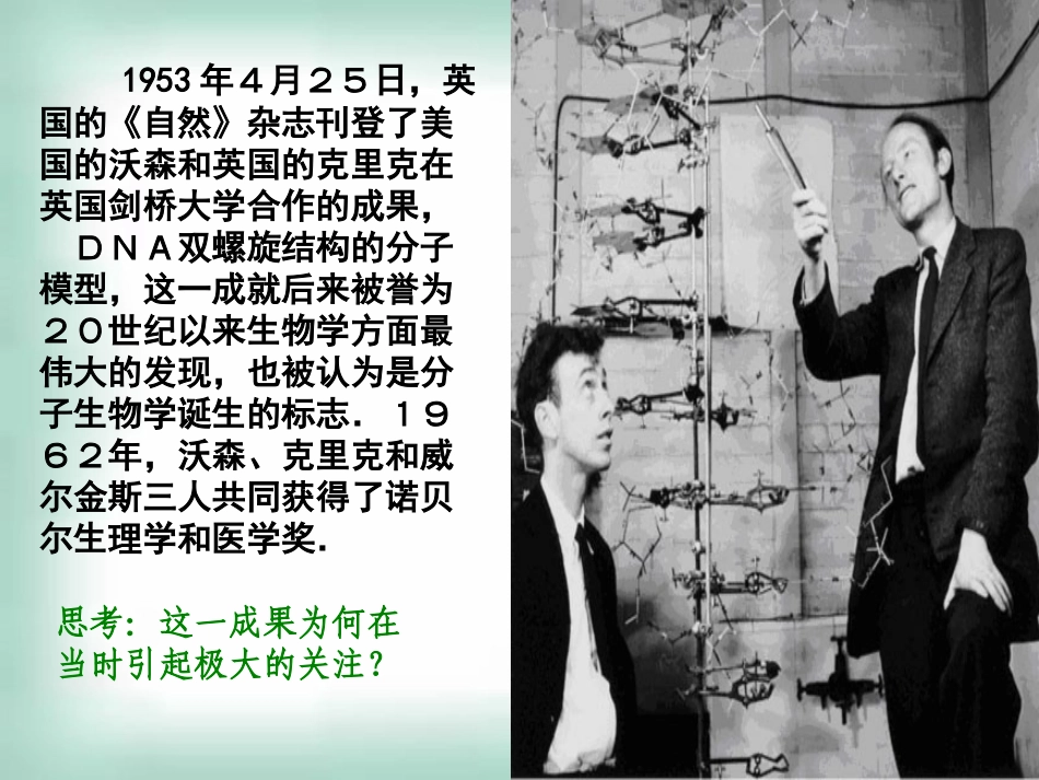 高中生物《32DNA分子的结构》课件新人教版必修2_第3页