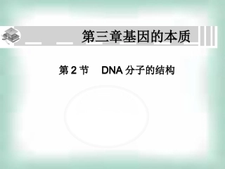 高中生物《32DNA分子的结构》课件新人教版必修2