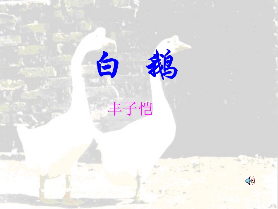 语文版《白鹅》课件6_第1页