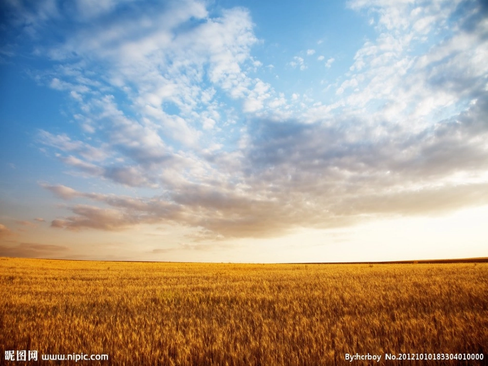 金色的秋天作文_第2页