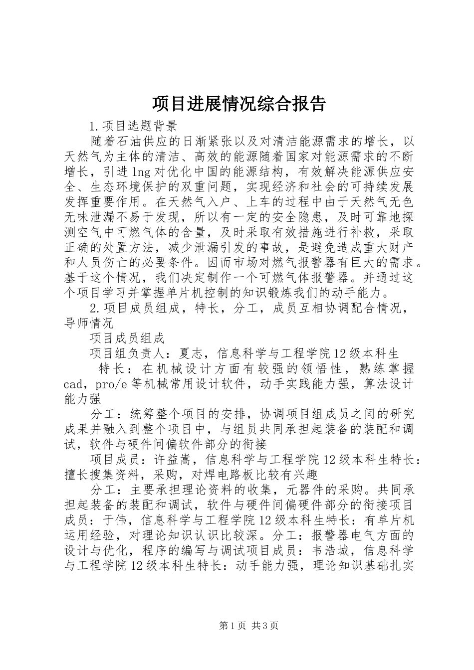 项目进展情况综合报告_第1页