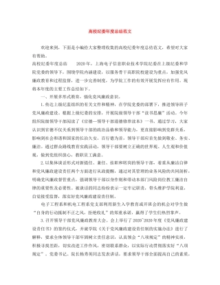 高校纪委年度总结范文 