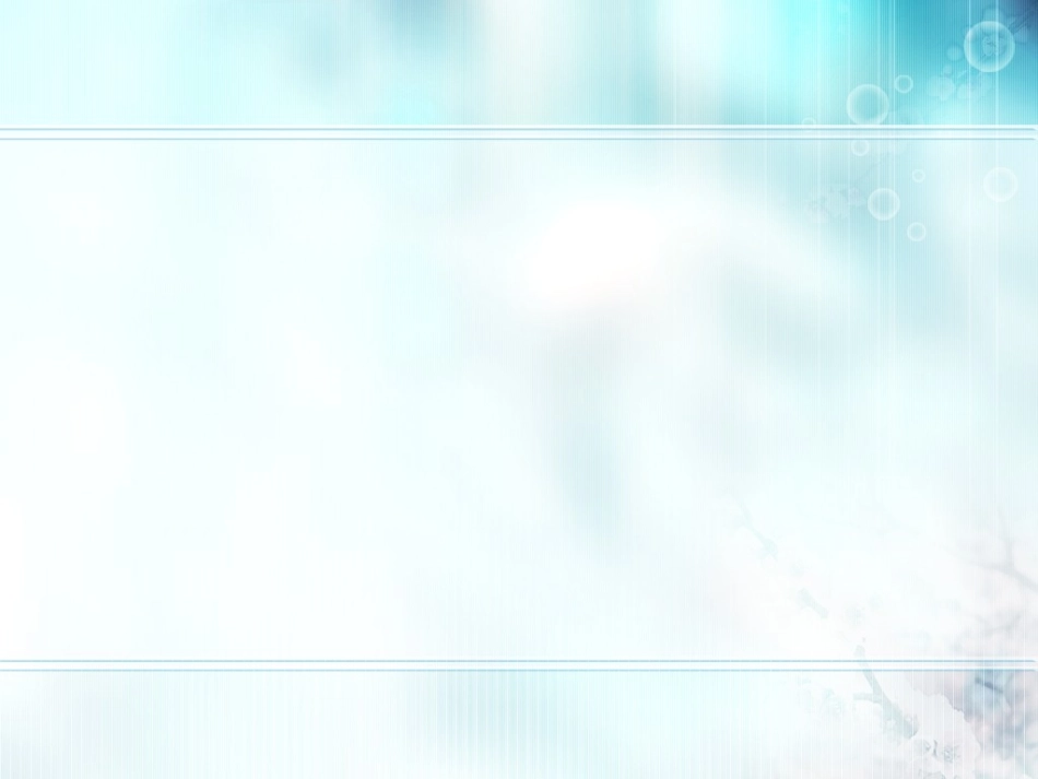 《王几何》课件_第2页