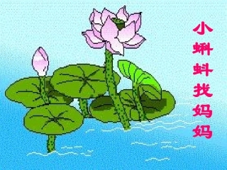 小蝌蚪找妈妈 (3)