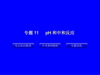 专题11_pH和中和反应