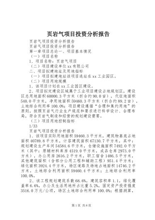 页岩气项目投资分析报告