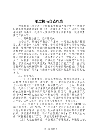 雁过拔毛自查报告
