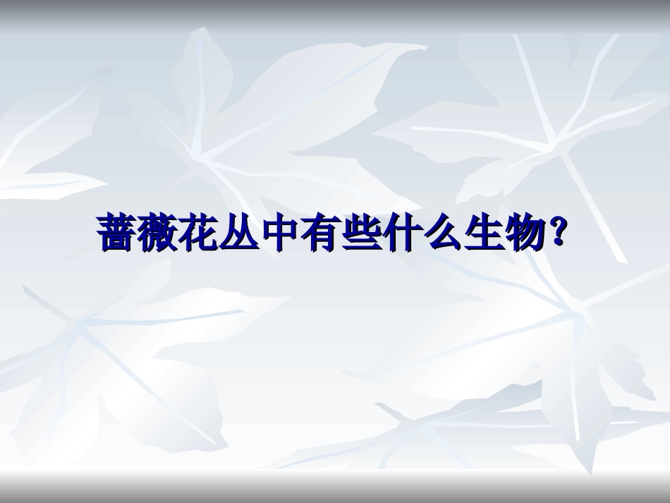 五年级科学上册第一单元食物链和食物网_第3页