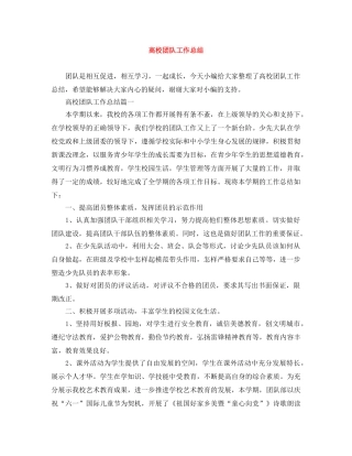 高校团队工作总结 