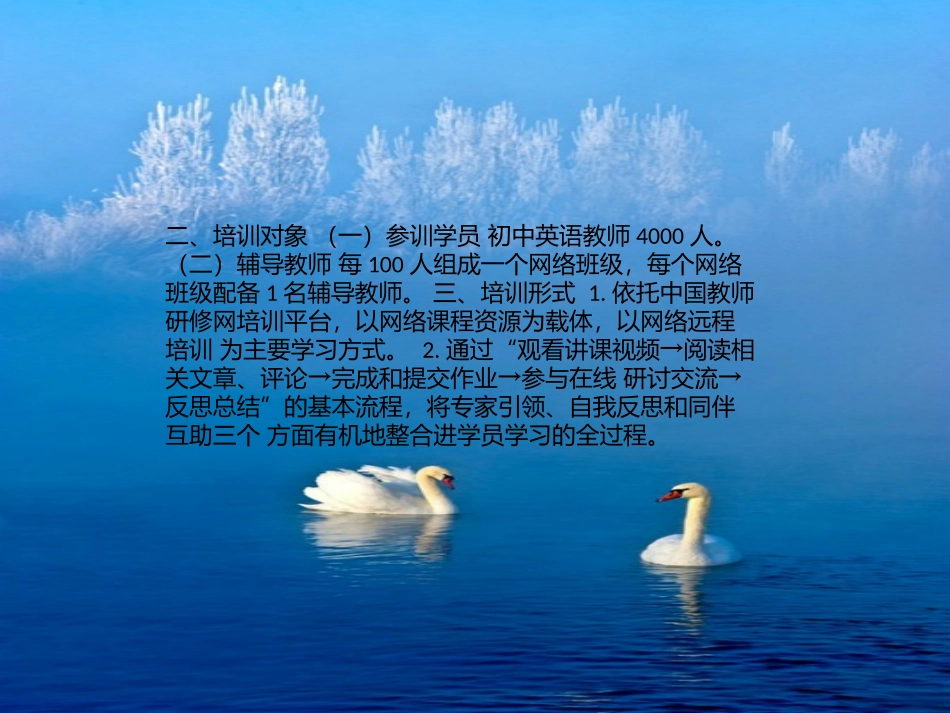 国培计划实施_第3页