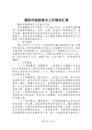 镇防汛抢险救灾工作情况汇报