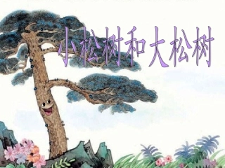 小松树和大松树1