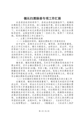 镇长扫黑除恶专项工作汇报
