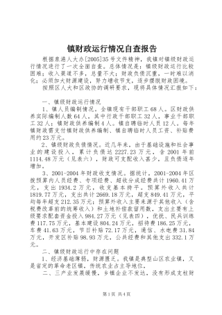镇财政运行情况自查报告