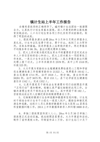 镇计生站上半年工作报告