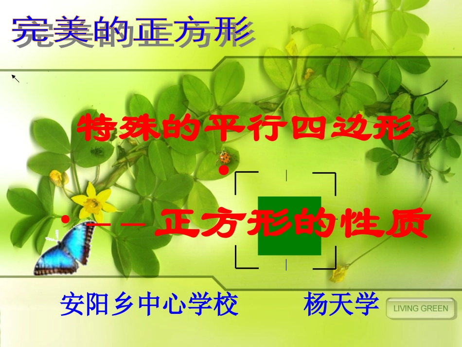 正方形的性质_第1页