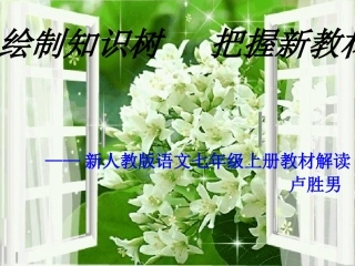 绘制知识树把握新教材