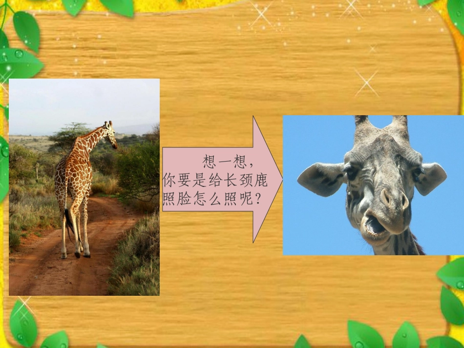 《动脑筋照相》课件_第1页