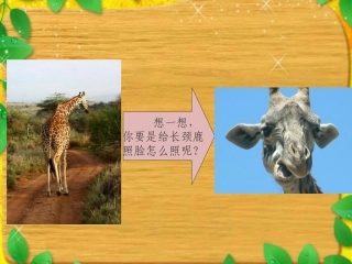 《动脑筋照相》课件