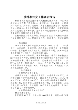镇精准扶贫工作调研报告