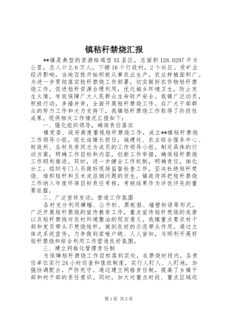 镇秸秆禁烧汇报