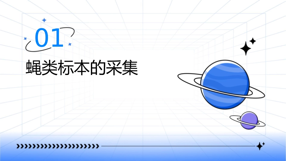 蝇类标本的采集制作保存和灭蝇效果的考核评估课件_第3页