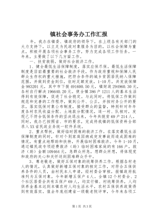 镇社会事务办工作汇报