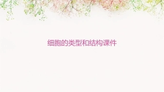 细胞的类型和结构课件