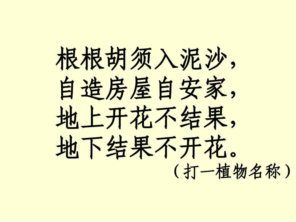 《落花生》课件 (6)_第1页