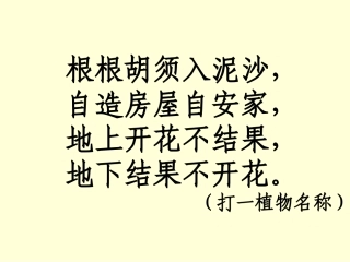 《落花生》课件 (6)