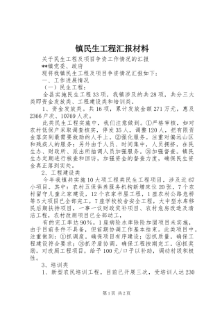 镇民生工程汇报材料