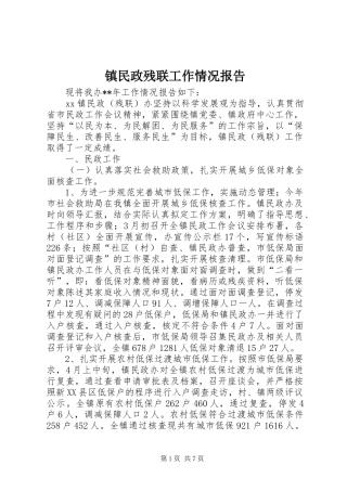 镇民政残联工作情况报告