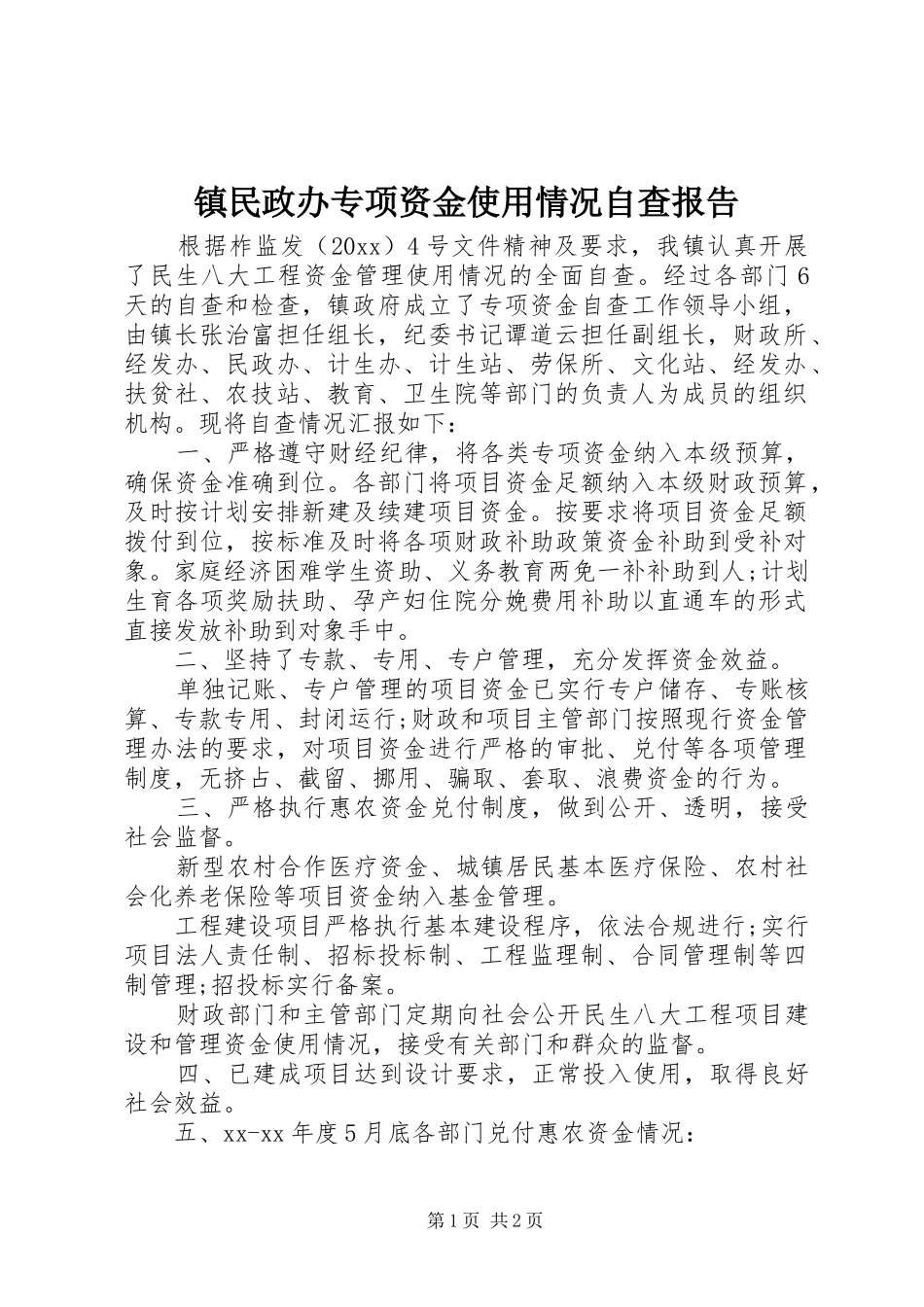 镇民政办专项资金使用情况自查报告_第1页
