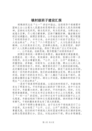 镇村级班子建设汇报