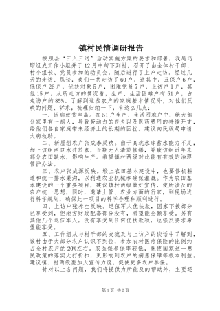 镇村民情调研报告