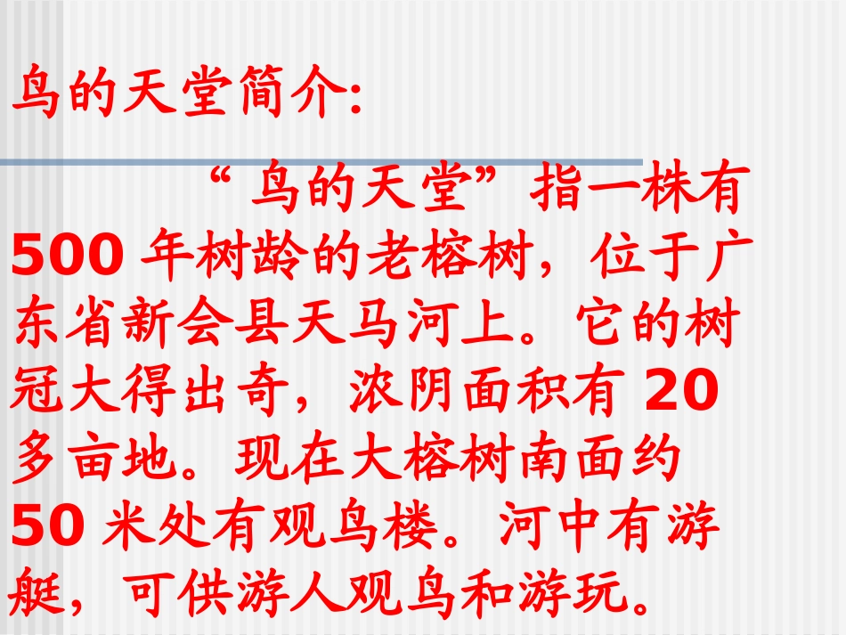 《鸟的天堂》课件_第2页