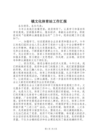 镇文化体育站工作汇报