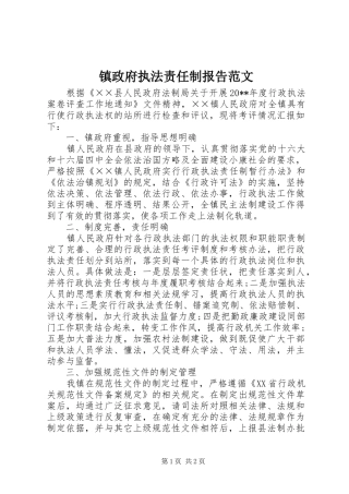 镇政府执法责任制报告范文