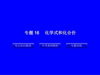 专题16_化学式和化合价