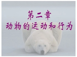 人教版__第一节动物的运动