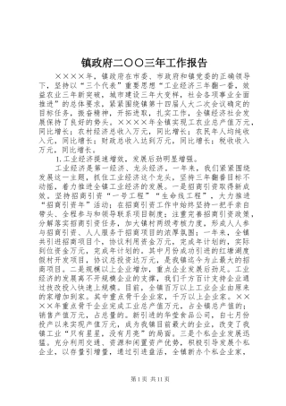 镇政府二○○三年工作报告