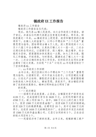 镇政府XX工作报告