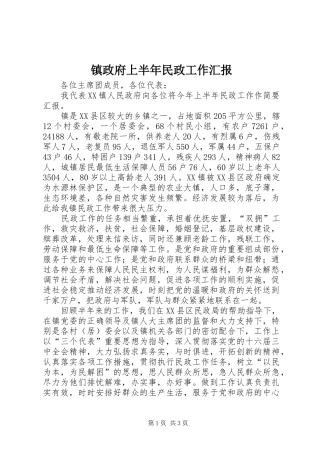 镇政府上半年民政工作汇报