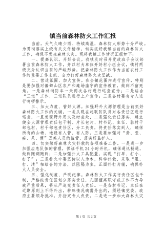 镇当前森林防火工作汇报