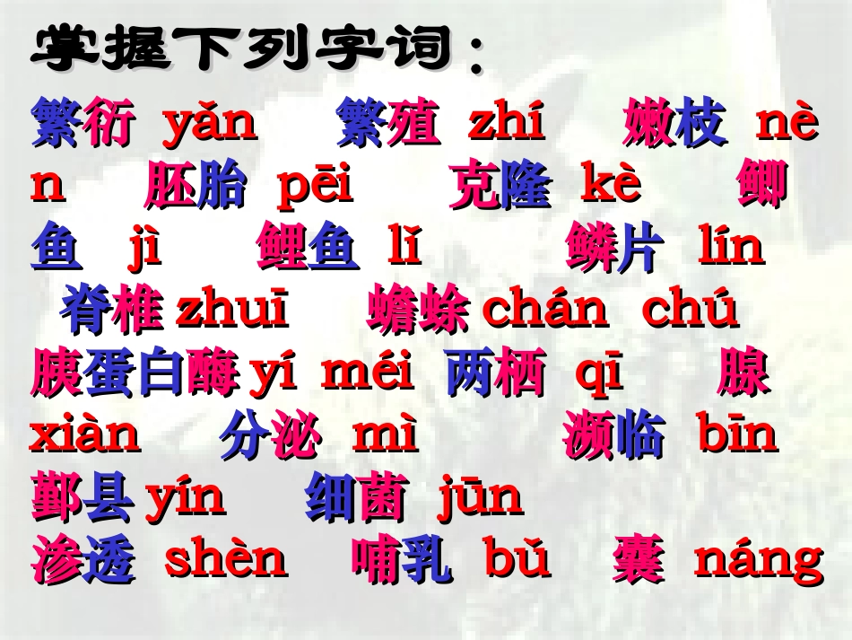 奇妙的克隆 (2)_第3页