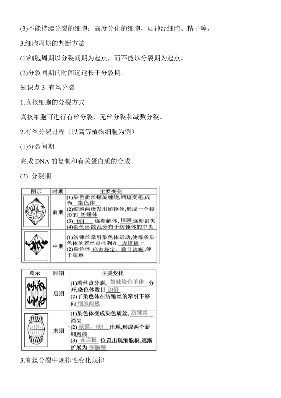 高中生物细胞的增殖知识点_第2页