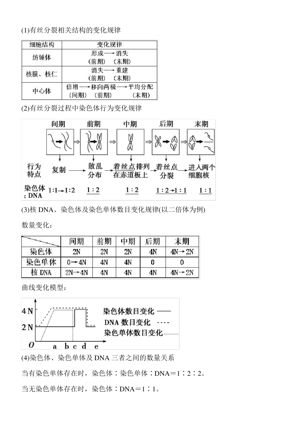 高中生物细胞的增殖知识点_第3页