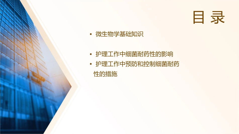 微生物学细菌耐药性护理课件_第2页