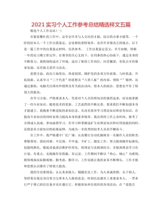 实习个人工作参考总结精选样文五篇