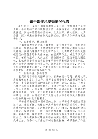 镇干部作风整顿情况报告